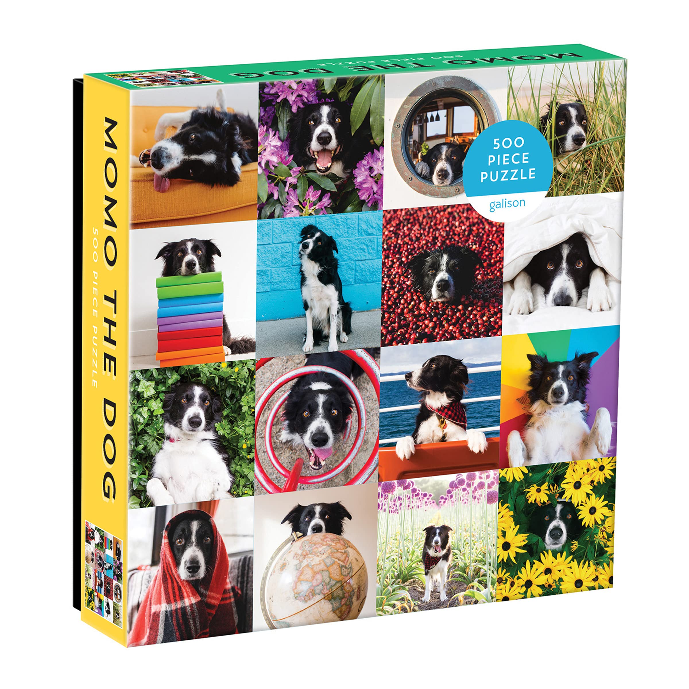Amazon.com: Galison Momo The Dog Puzzle, 500 Pieces, 20” x 20